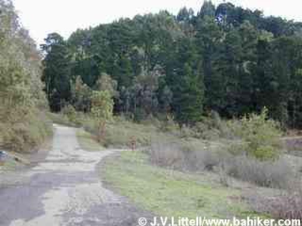 A paved trail at Sibley