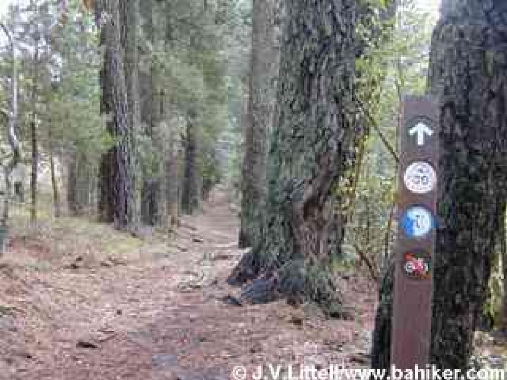Photo of Round Top Loop Trail