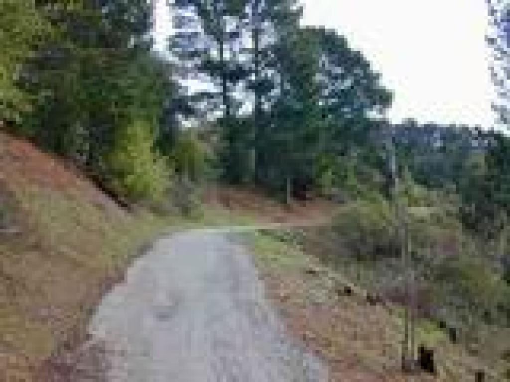THe paved road ascends