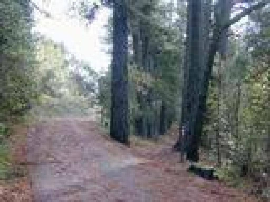 Junction