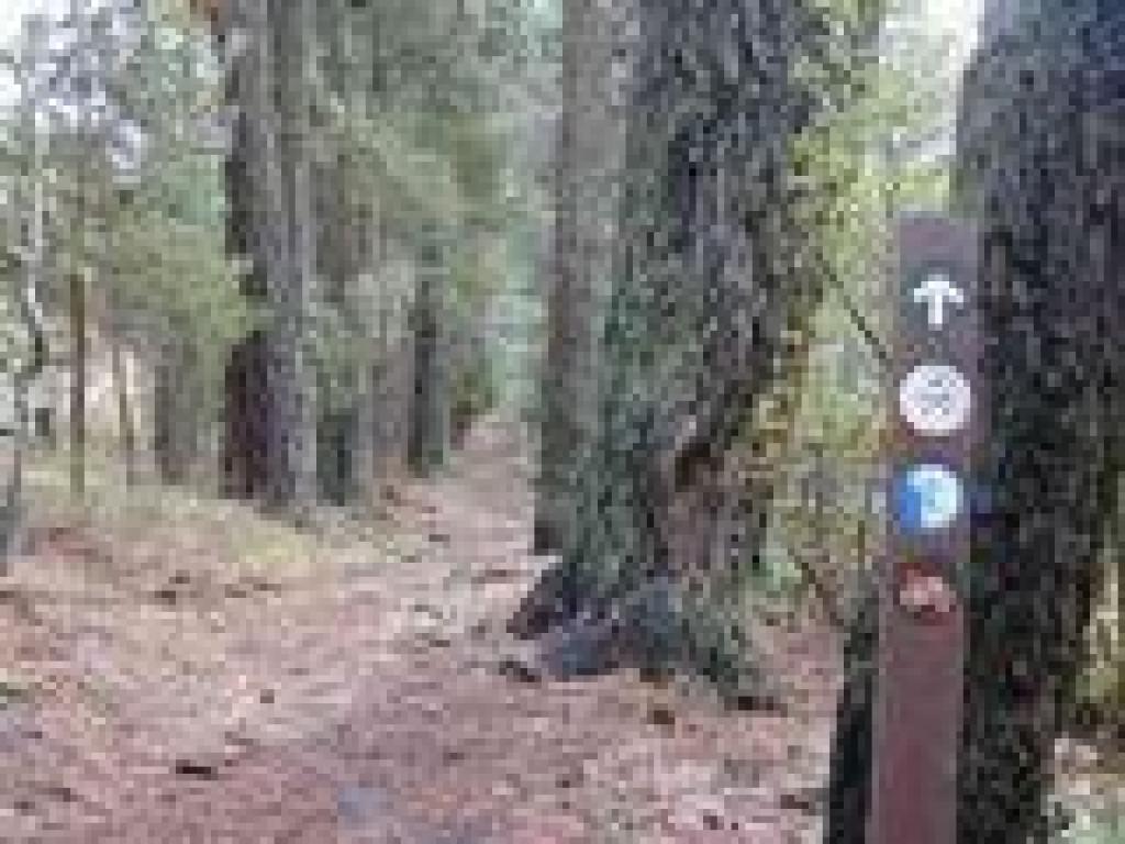 Round Top Loop Trail