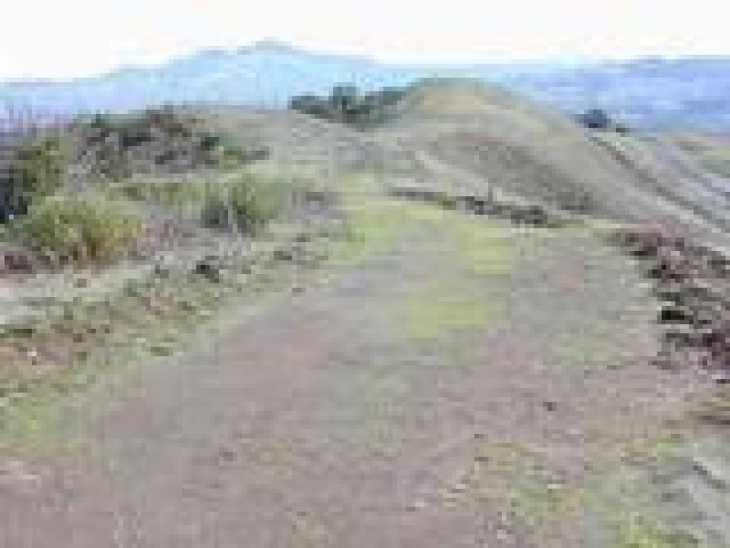 View to Mount DIablo
