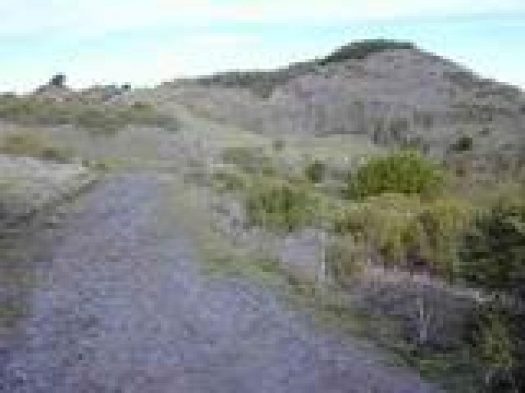 Trail