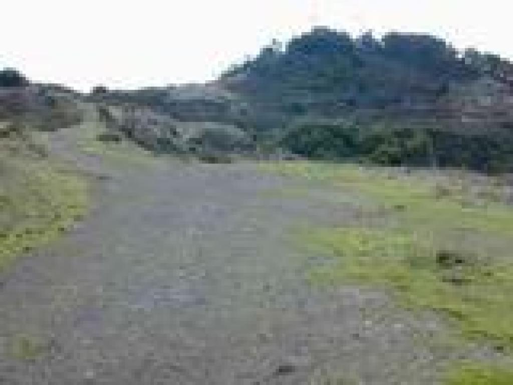 Returning on Volcanic Trail
