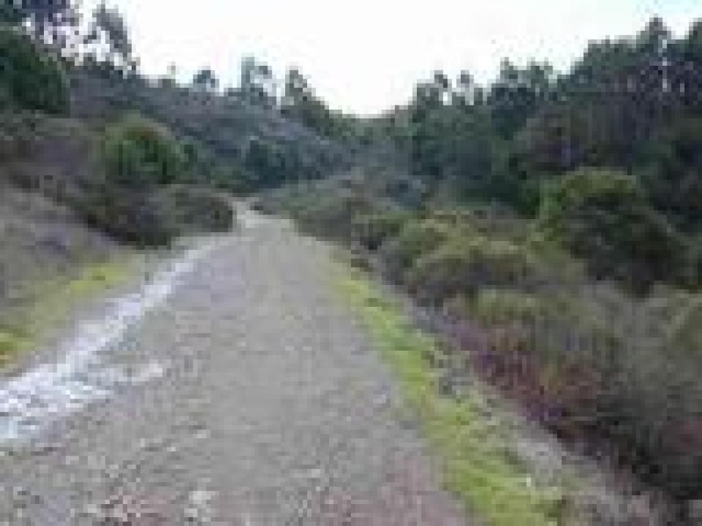 Trail