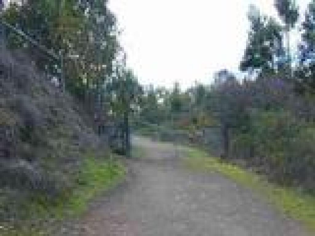 Cattle gate