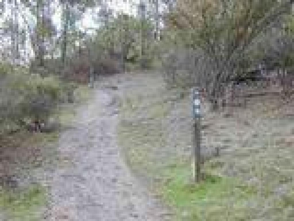 Path heading back to trailhead