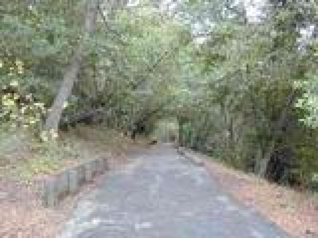 Paved trail