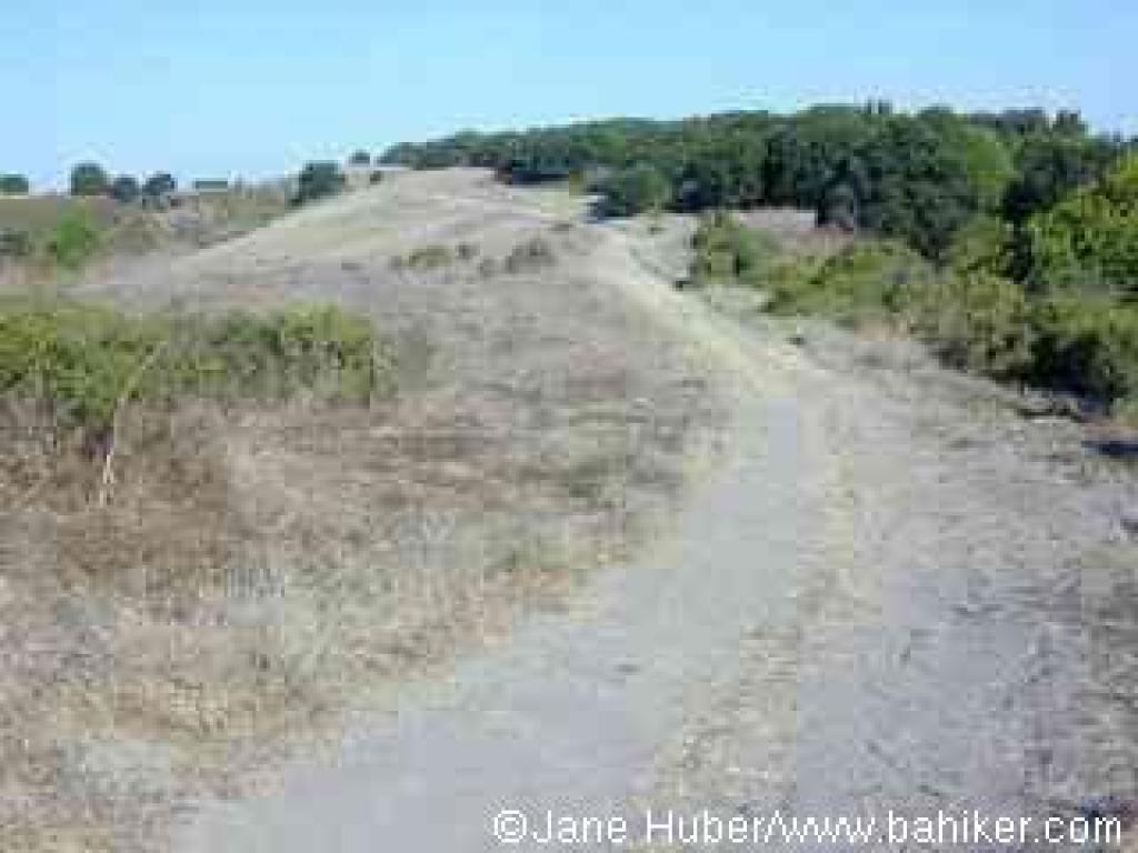Bay Area Hiker Sobrante Ridge Regional Preserve