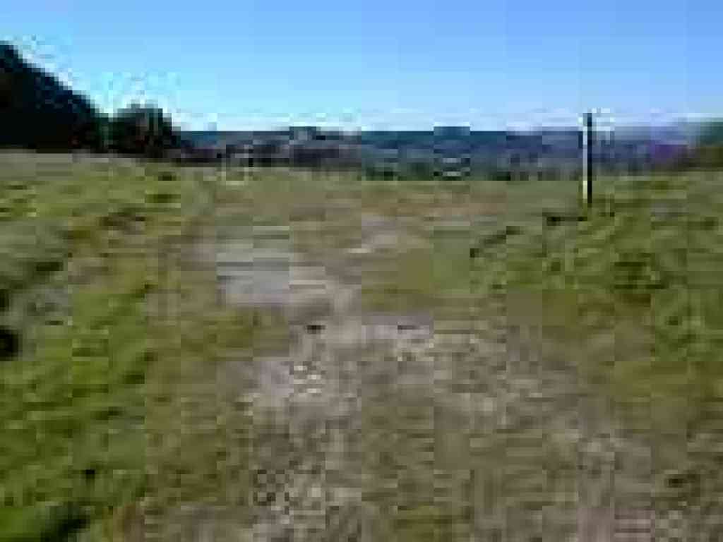 Junction