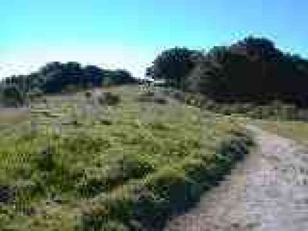 Sobrante Trail turns south