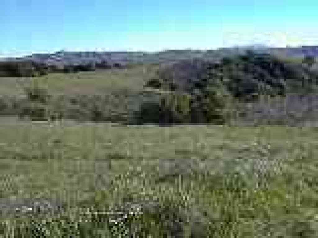View east