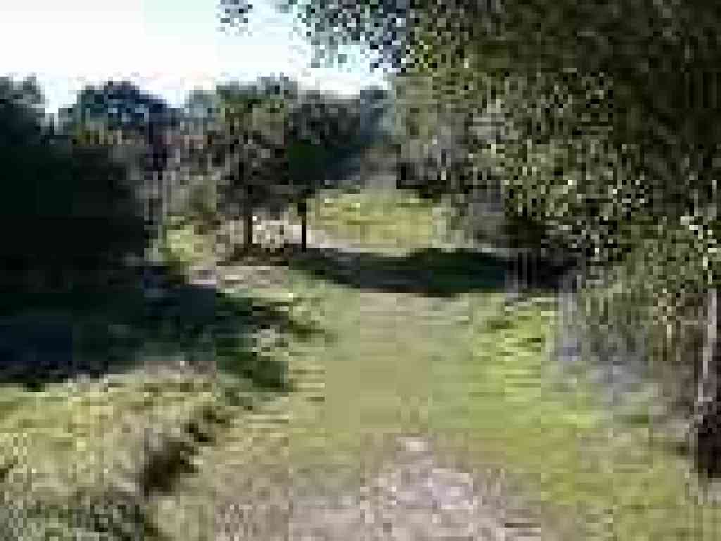 Trail takes a quick descent and then ascends