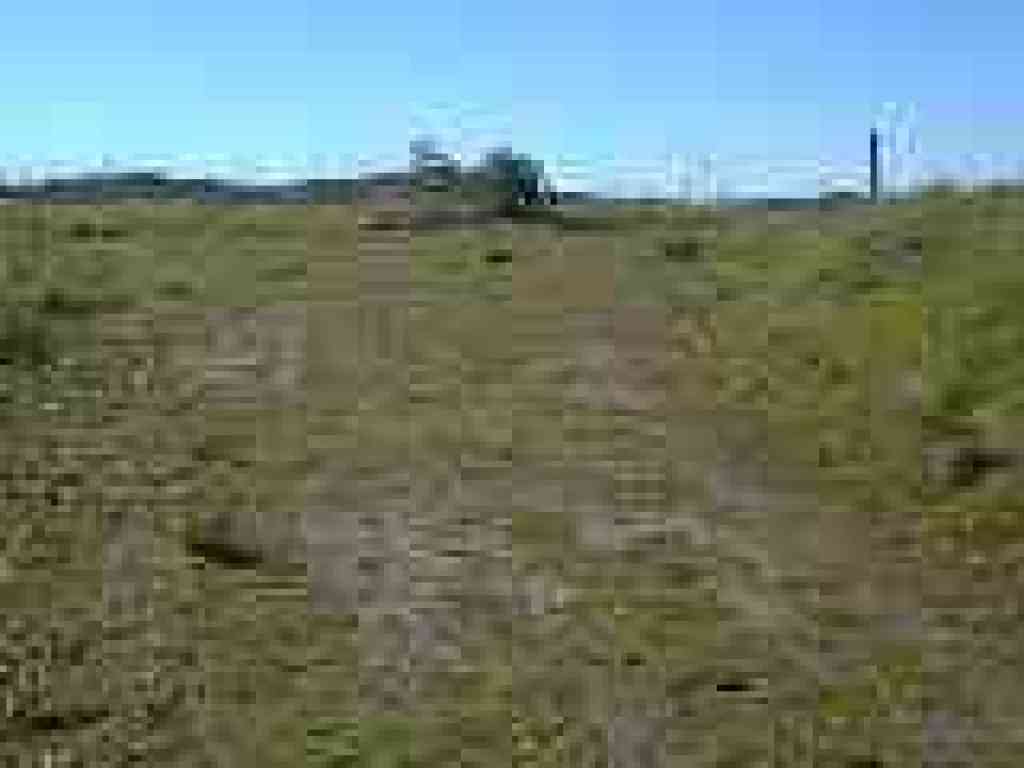Junction with Manzanita Trail