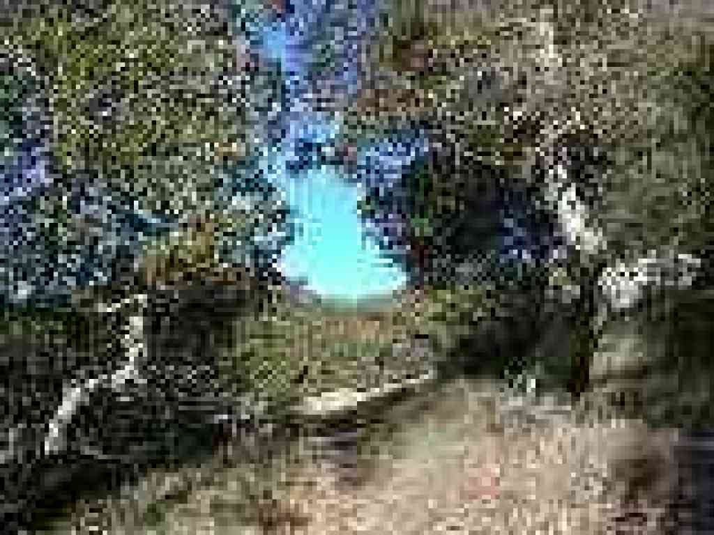 Trail reaches a crest