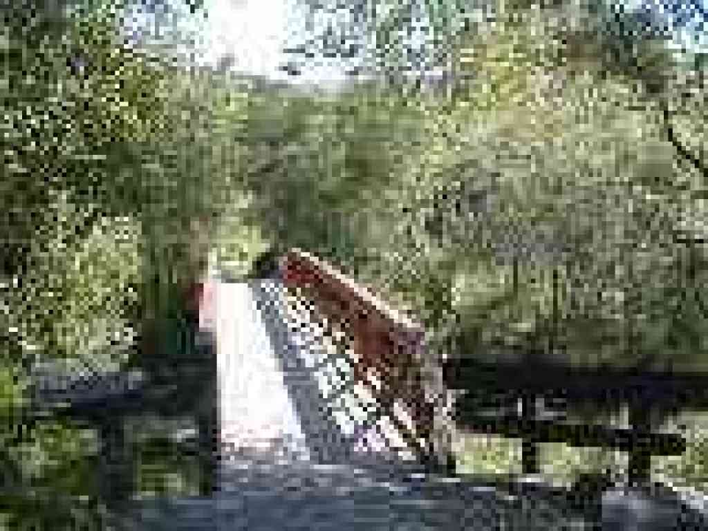 Bridge