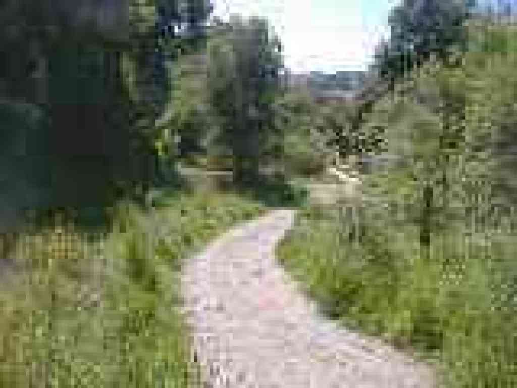Canyon View Trail
