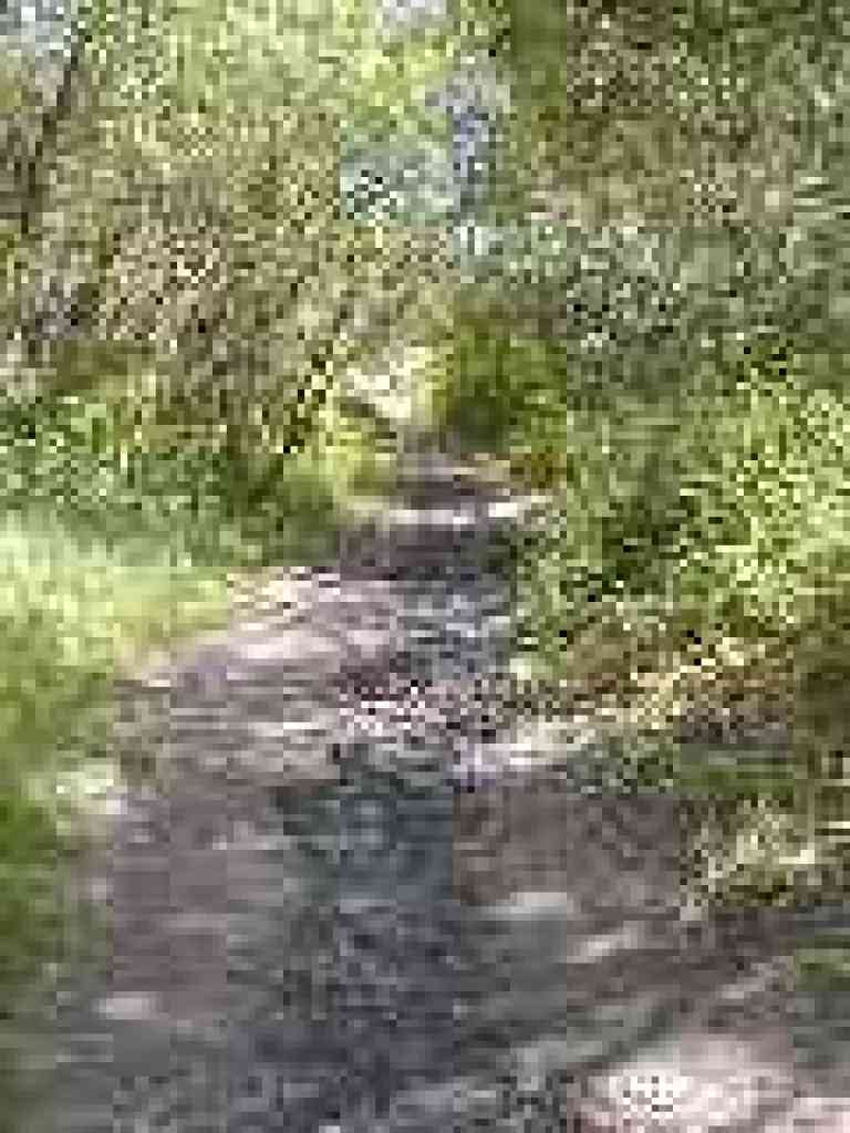 Muddy