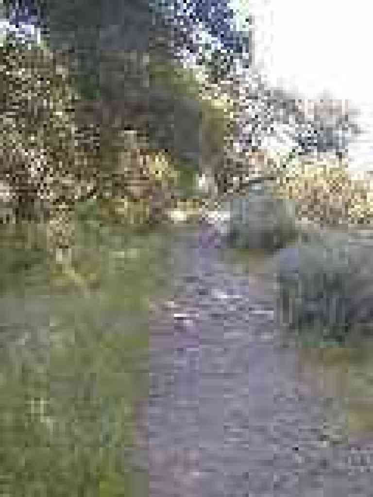 Uphill