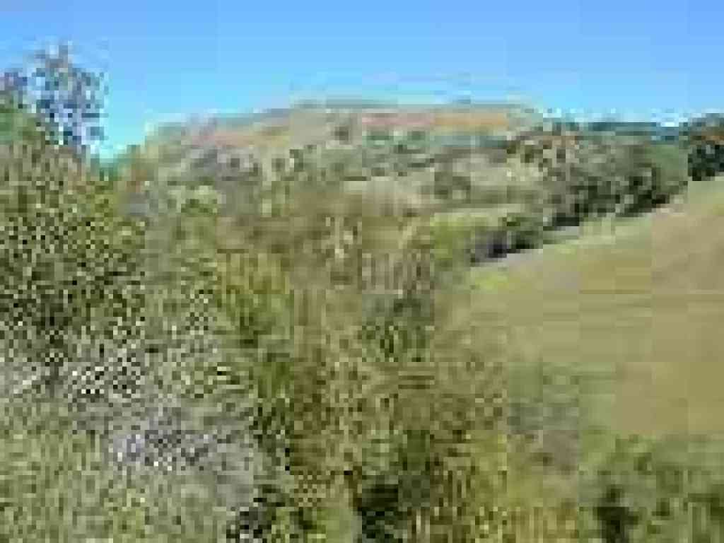View uphill