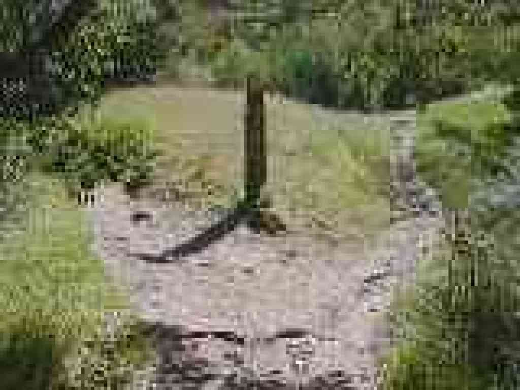 Junction