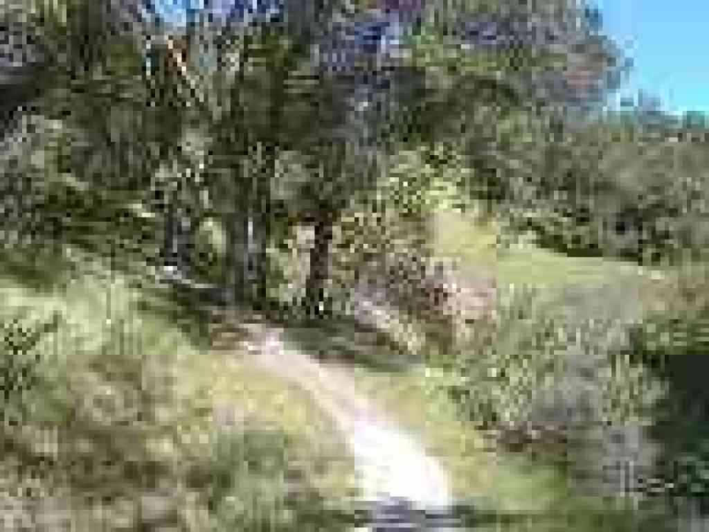Winding through oaks and sagebrush