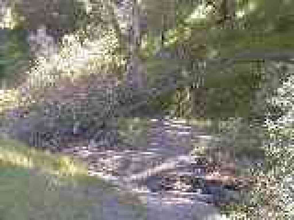 Creek crossing