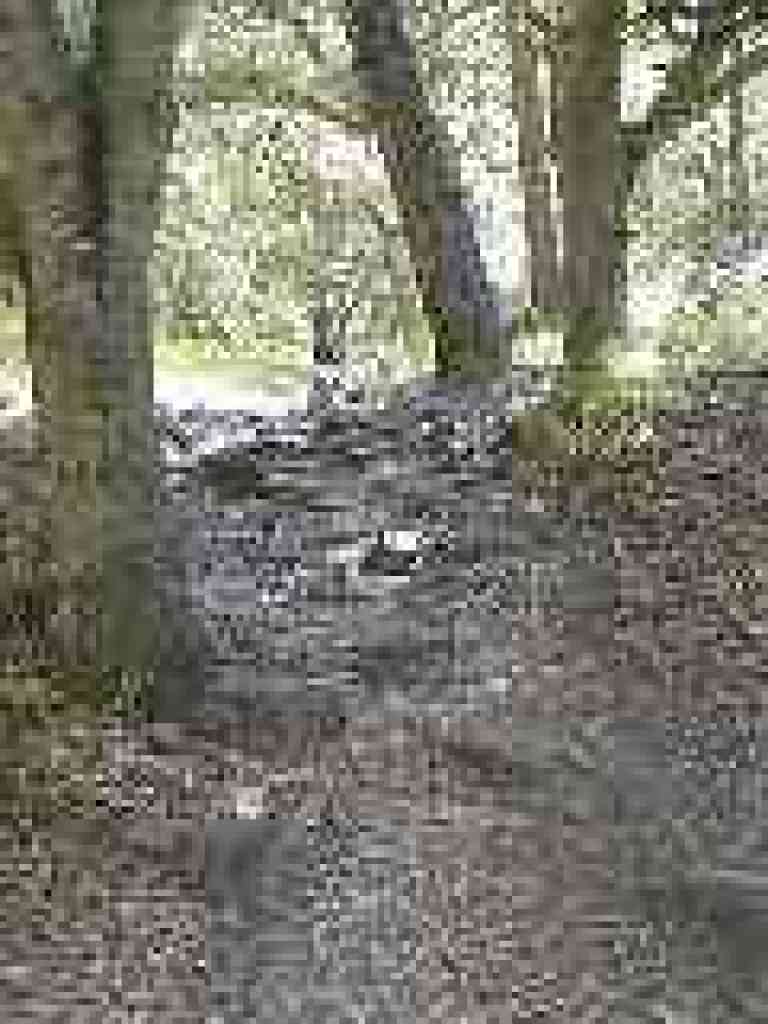 Rocky uphill stretch