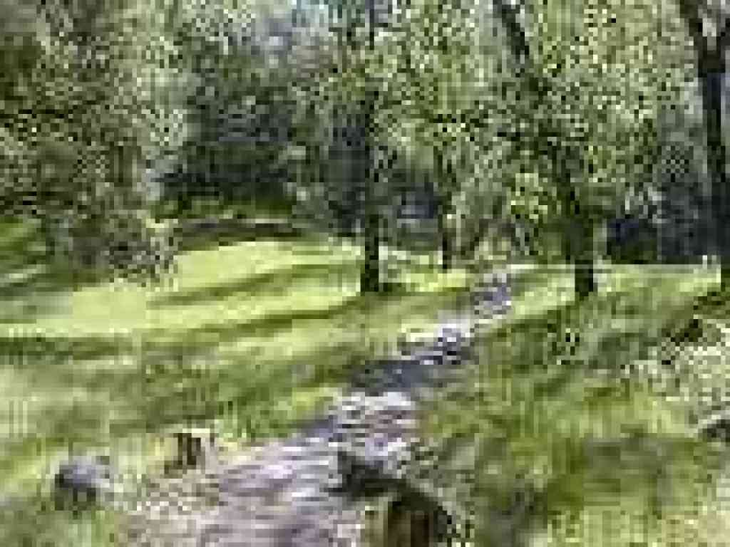 Indian Joe Trail