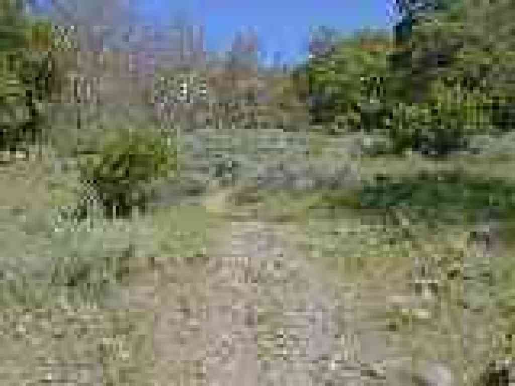 Through sagebrush