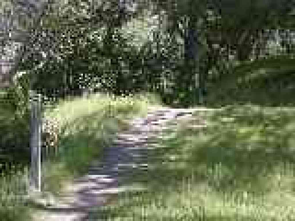 Junction