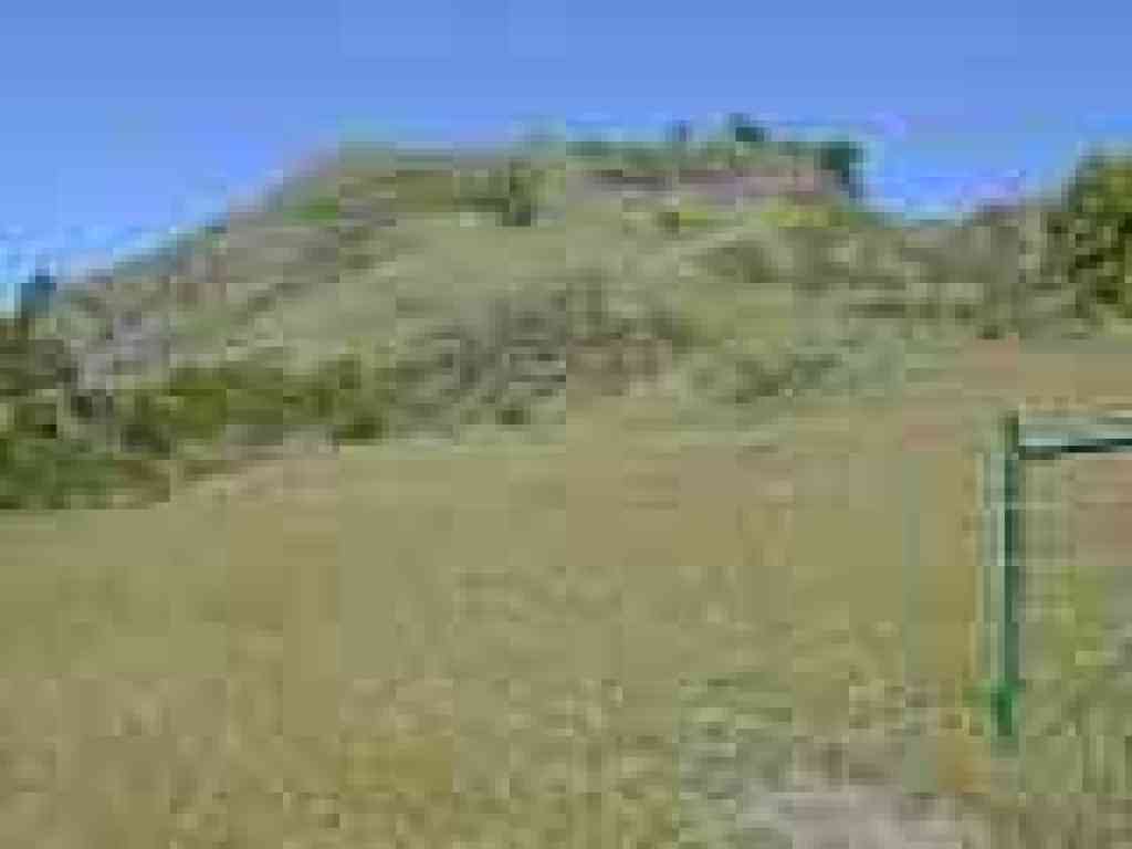 Looking north