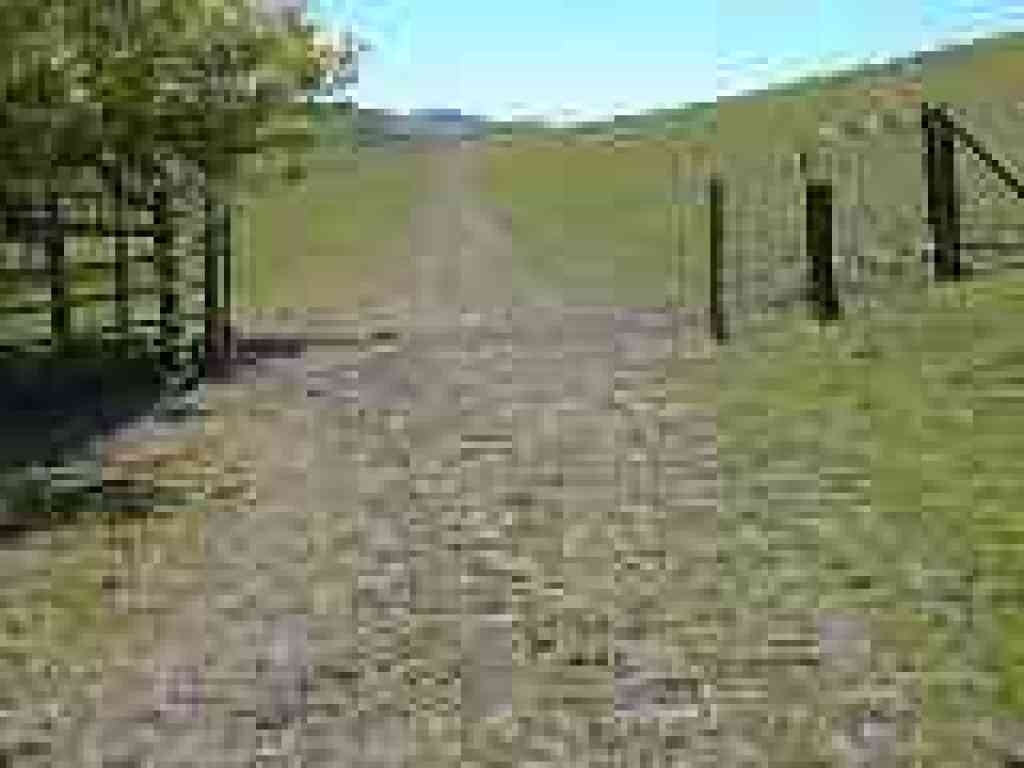Flag Hill Road