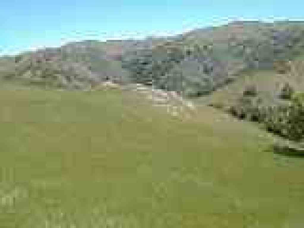 Rock outcrop