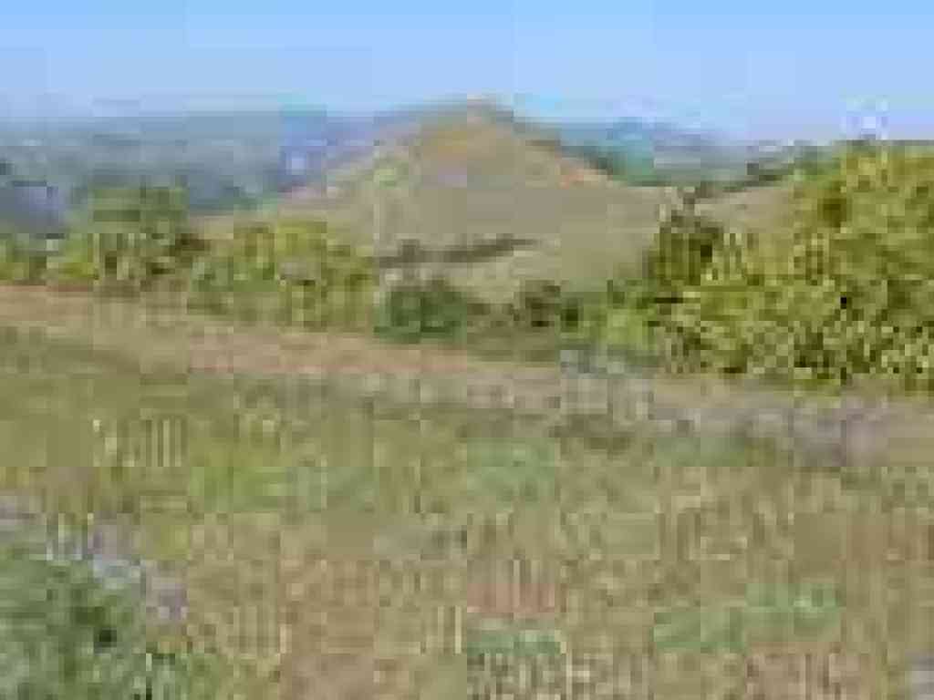 View northwest