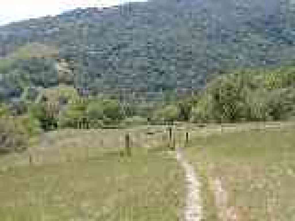 Cattle gate