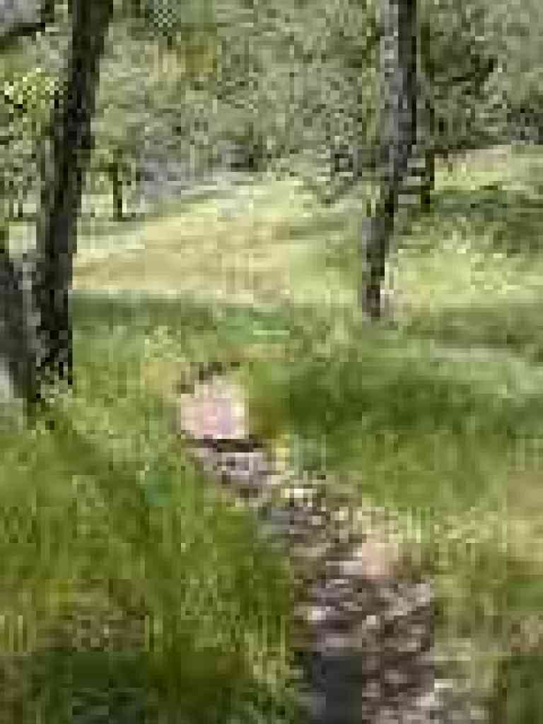 Flag Hill Trail