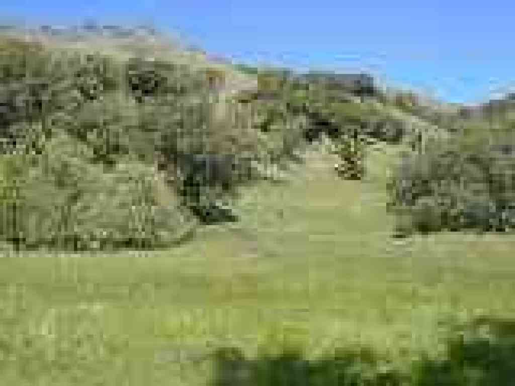 Looking back uphill