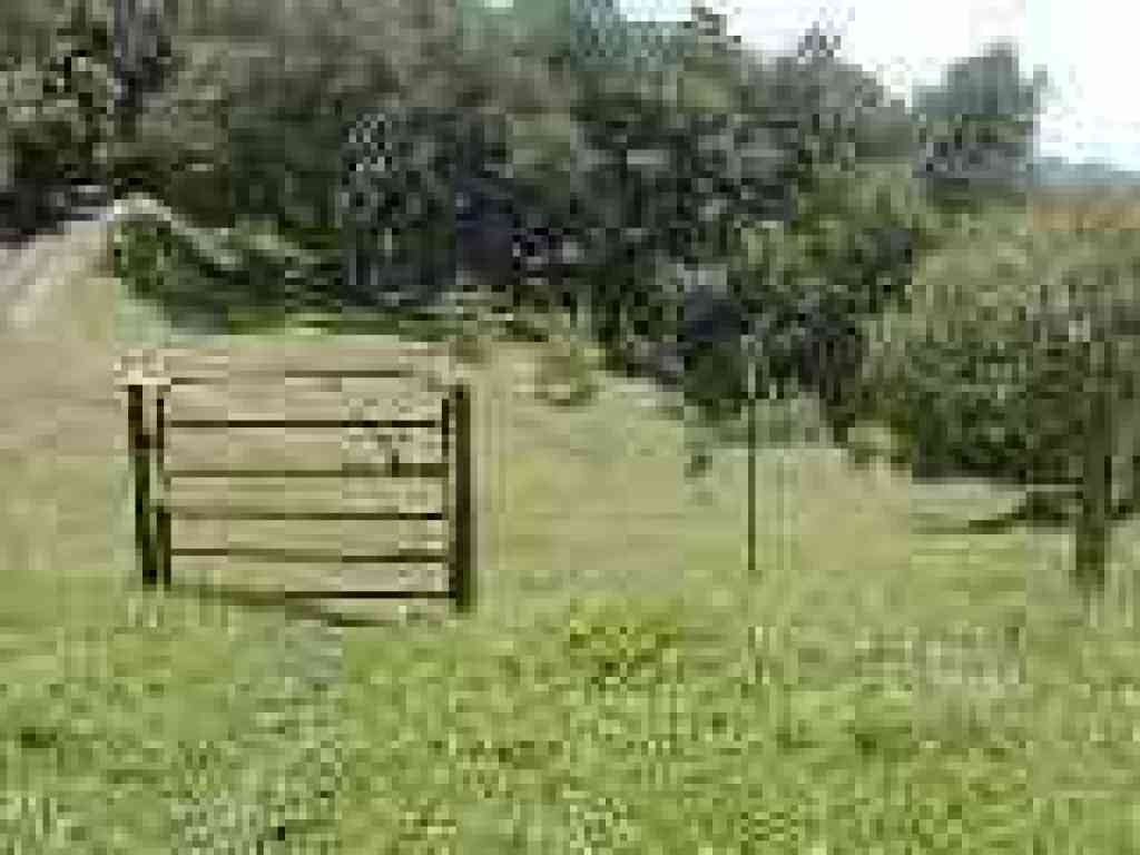 Gate at junction