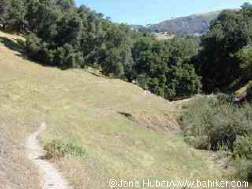 Photo of Indian Joe Creek Trail