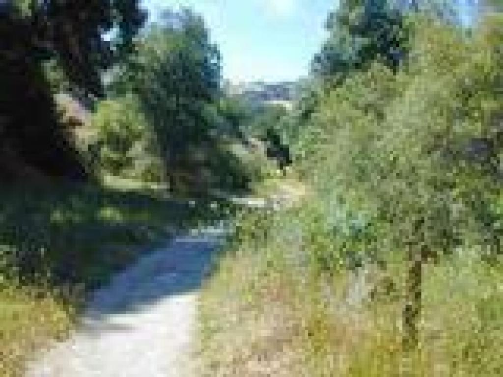 Trail along Alameda Creek