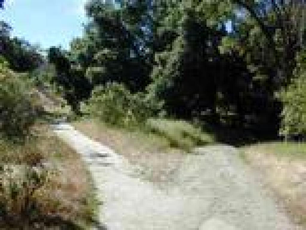 Canyon View Trail
