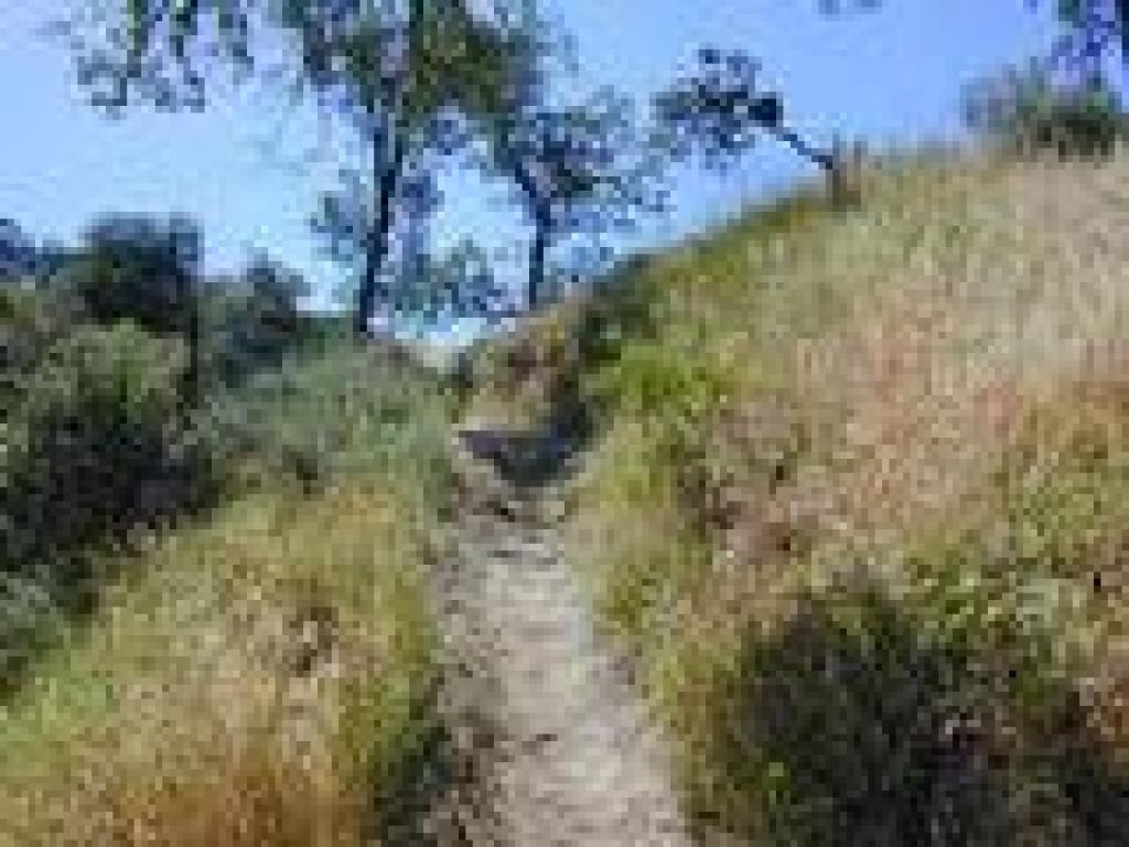 Indian Joe Nature Trail