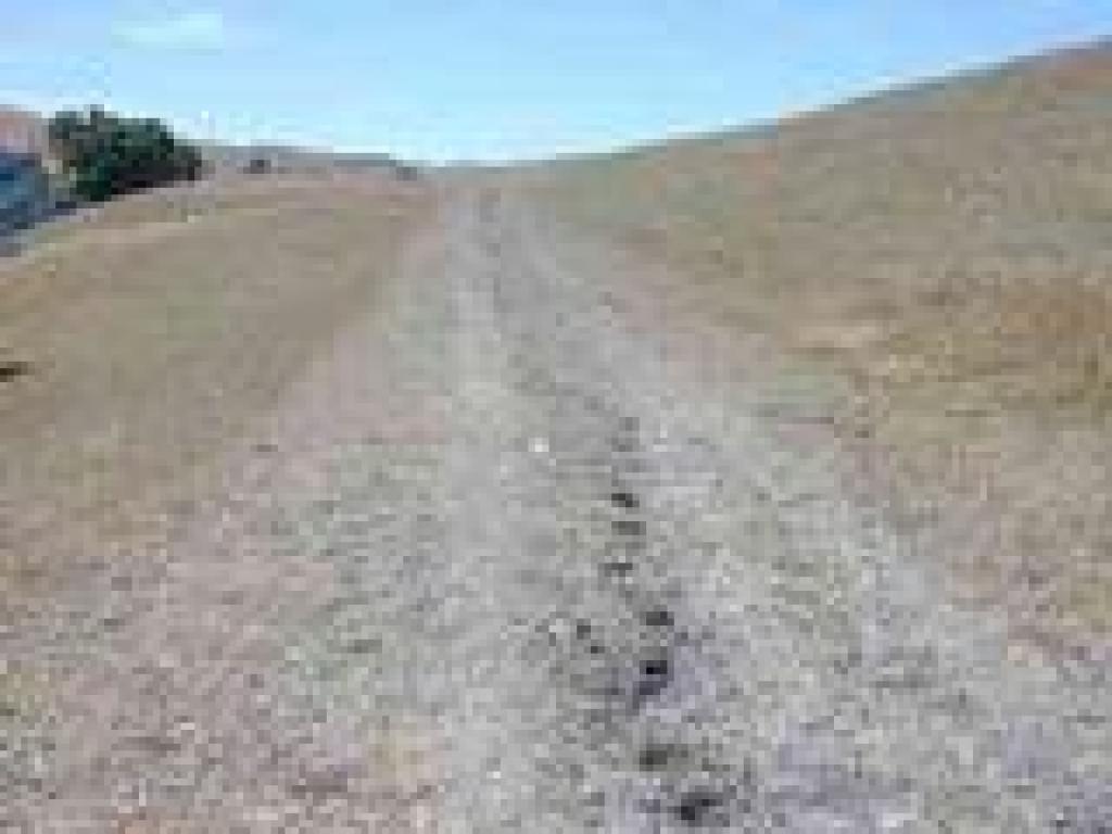 Flag Hill Trail