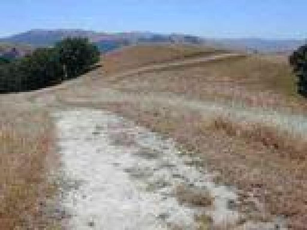 Flag Hill Trail