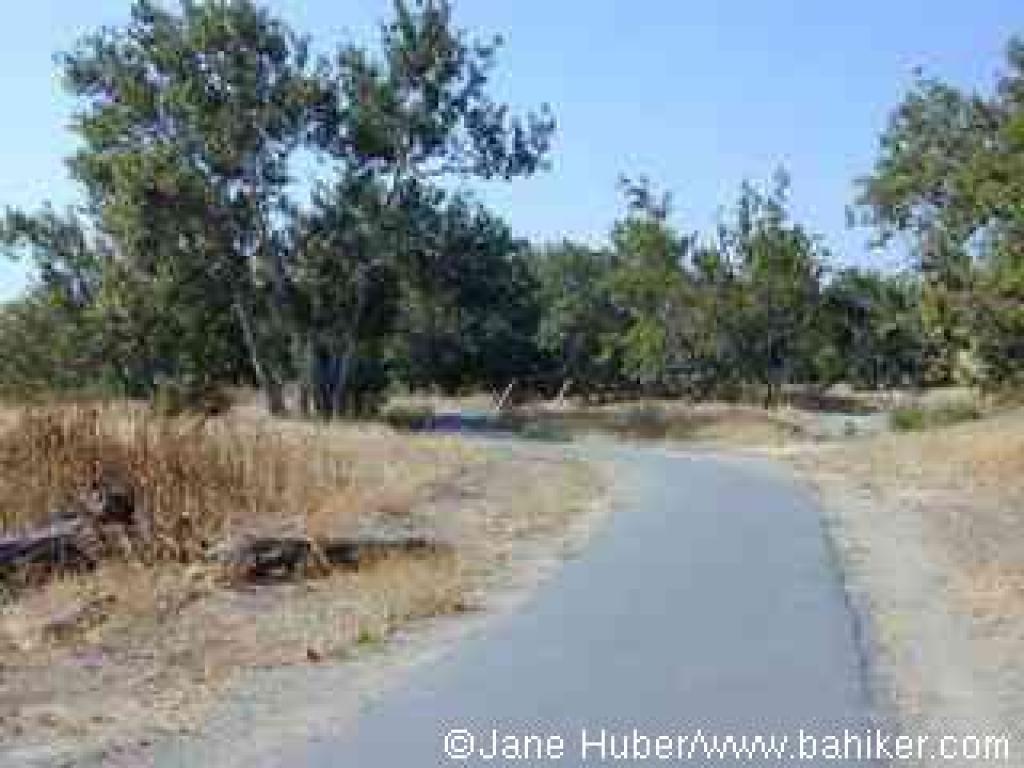 Paved trail crosses a creek