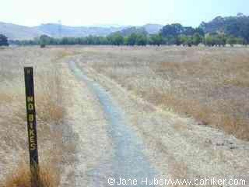 Path to almond orchard