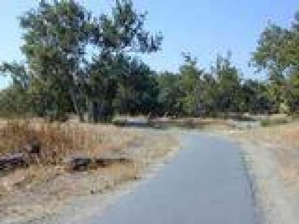 Bridge