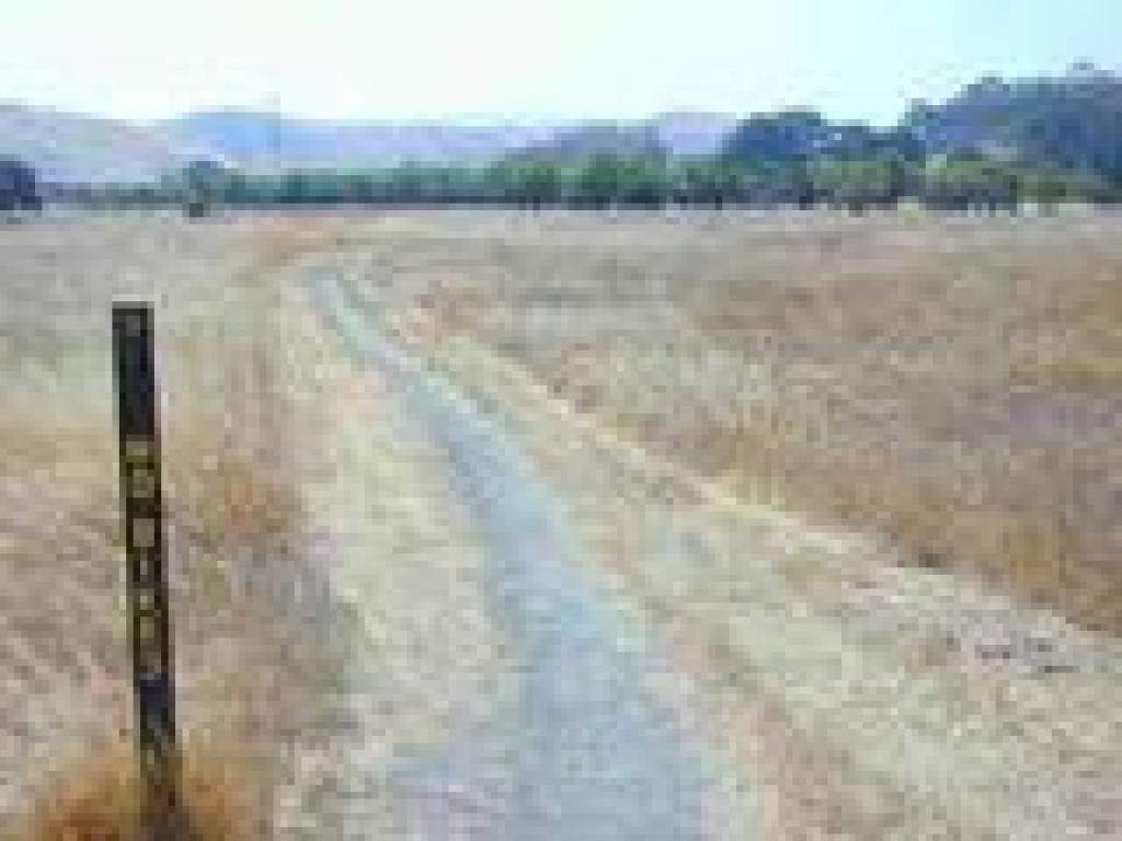 Path to almond grove