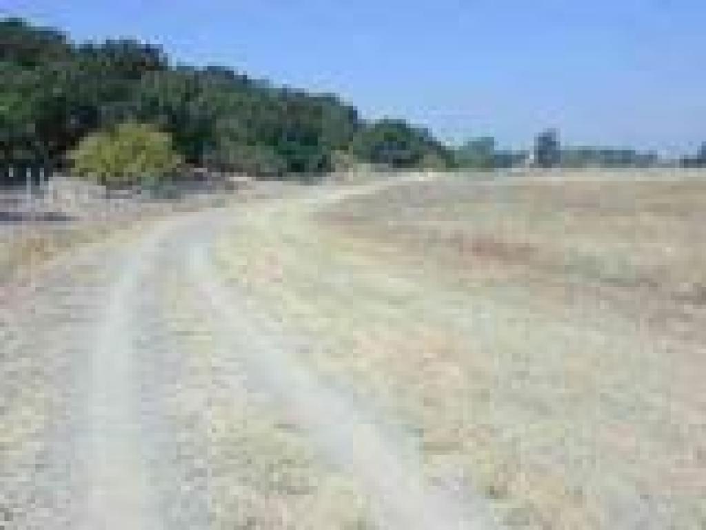 Along the park boundary